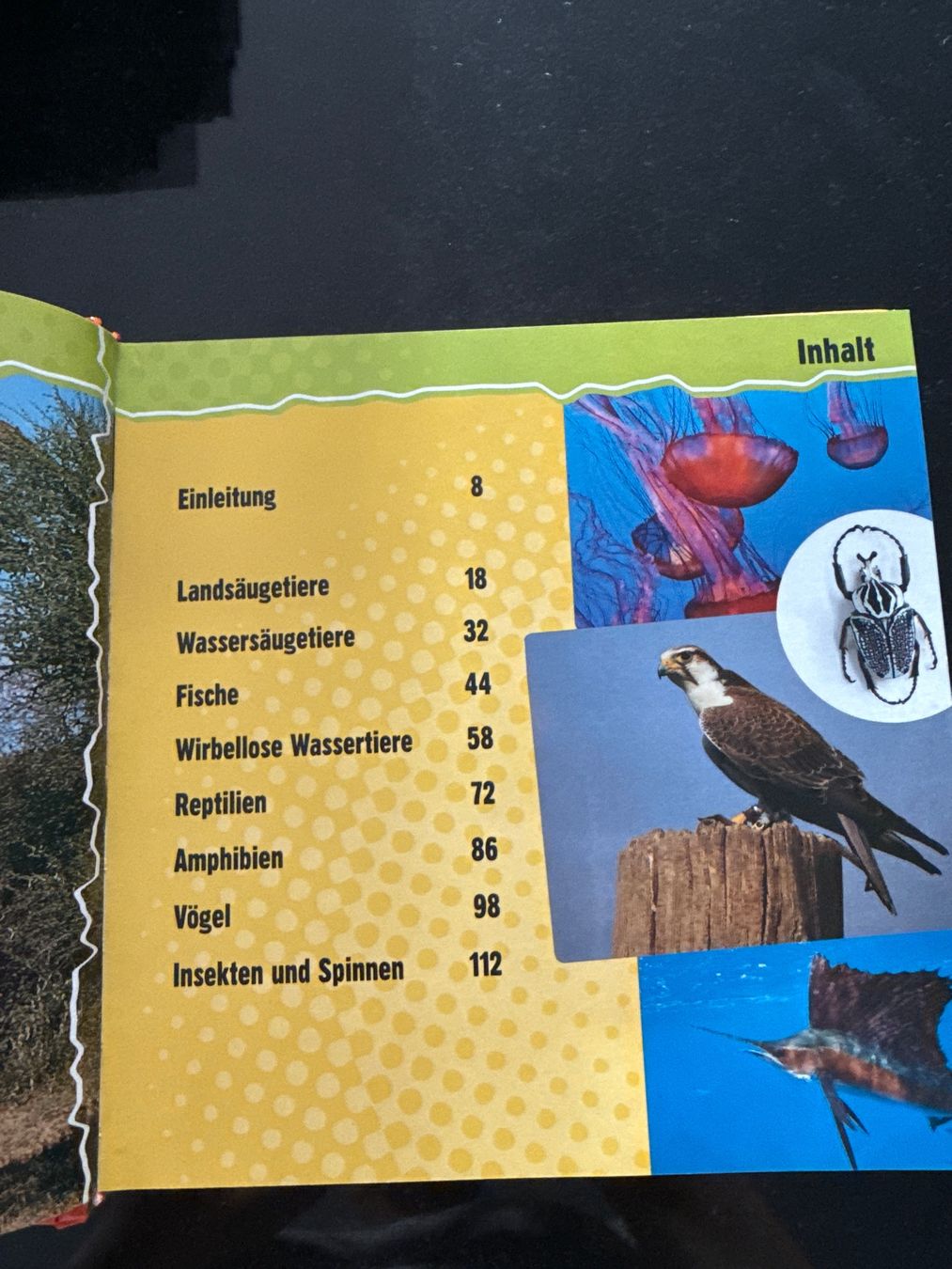 Bücher: NEU! Quartettbuch Tierrekorde mit Spielkarten – Neu und originalverpackt aus Schönenwerd von d.chiara 4
