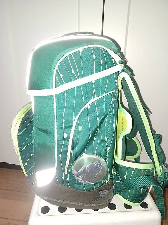Ergobag Sacs & sacs à dos: Schulsack Ergobag – D'occasion à Recherswil par Lunaticas 2