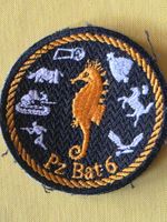 Panzer Abzeichen Badge Pz Bat 6 Stab
