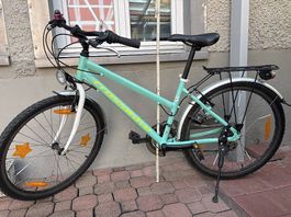 Citybike