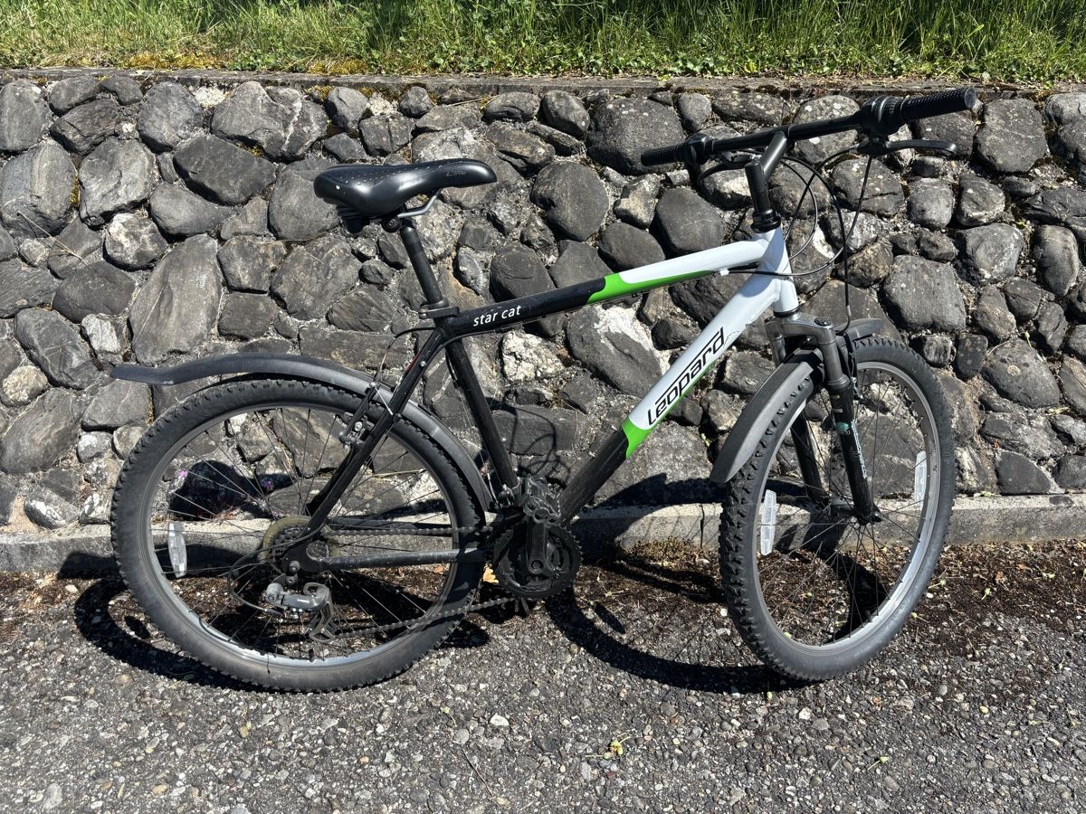 Leopard Velos: Velo – Gebraucht aus Lausen von schwaafli