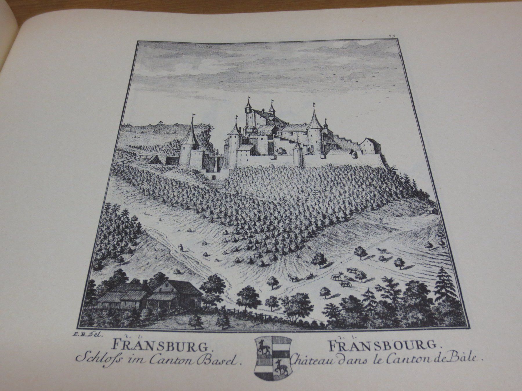 Bücher: Die Topographie der Eidgenossenschaft Limited 133/800 – Neu (gemäss Beschreibung) aus Schöftland von Topdeal4 7