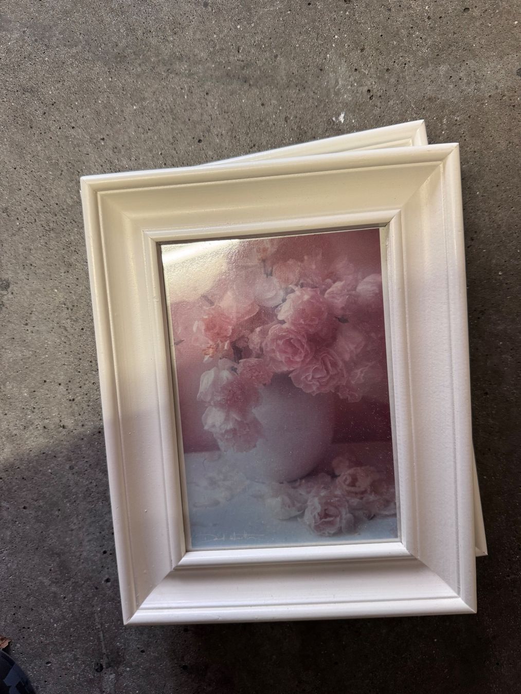 Poster & Bilder: Bilderrahmen weiss mit Blumenbild Grösse L – Neu (gemäss Beschreibung) aus Zunzgen von noa_wd92
