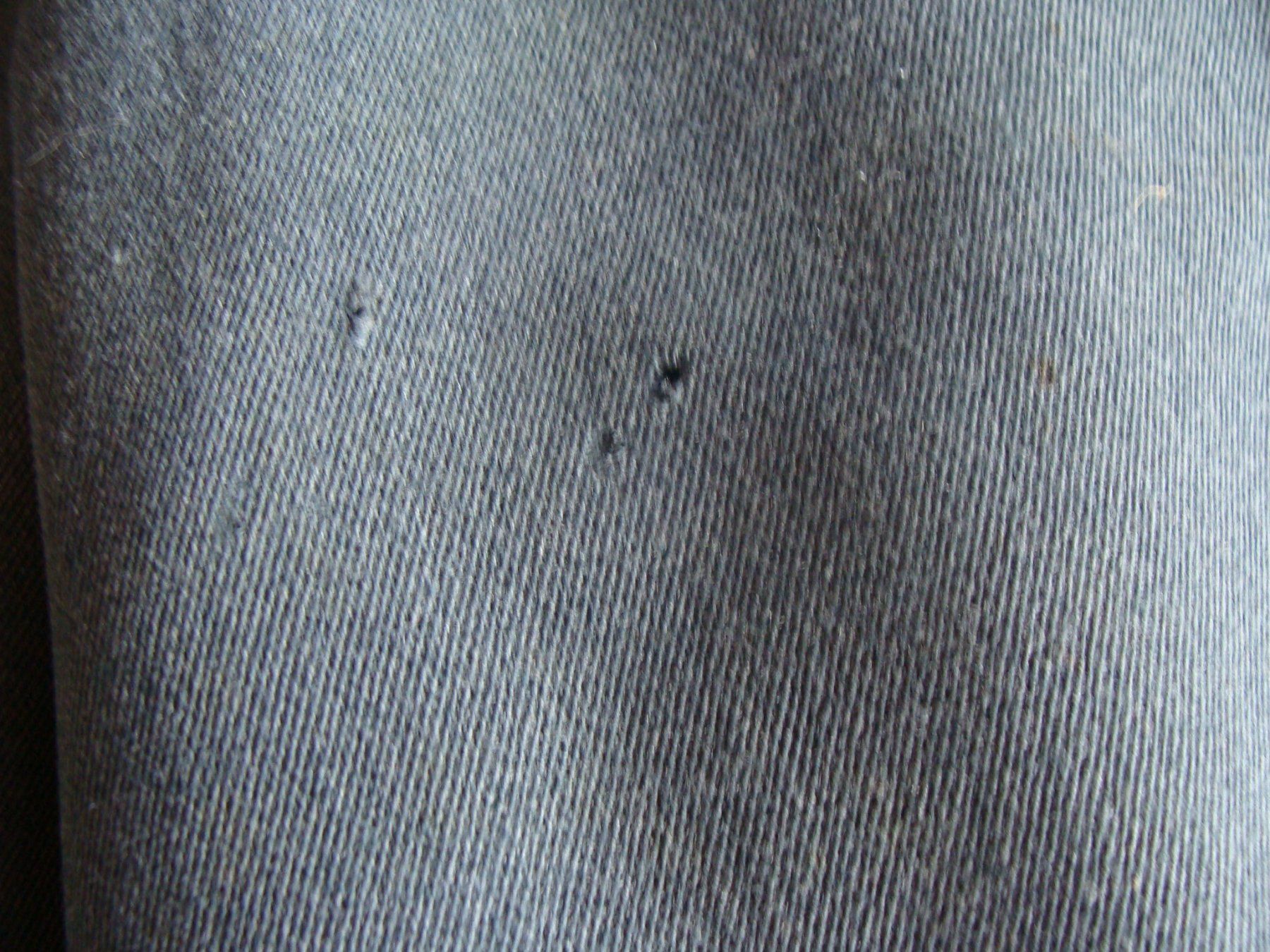 Schweizer Armee Uniformi: Pantalon de cavalerie – Usato da Cuarny venduto da hen_g7hn 2