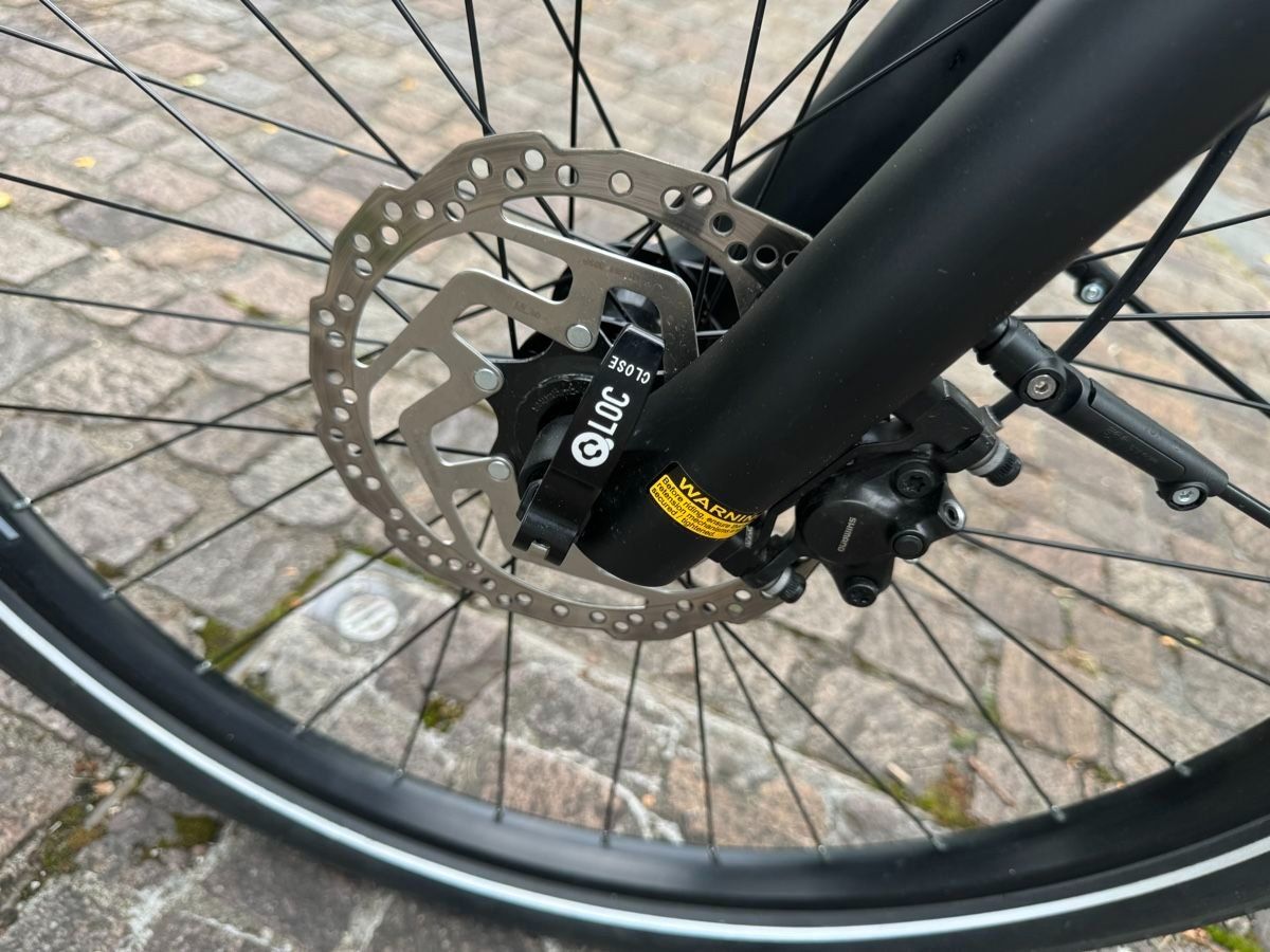 Bosch Biciclette: Ebike 45kmh WHISTLE Highspeed P500 29'' – Usato da Zürich venduto da leverdi 3