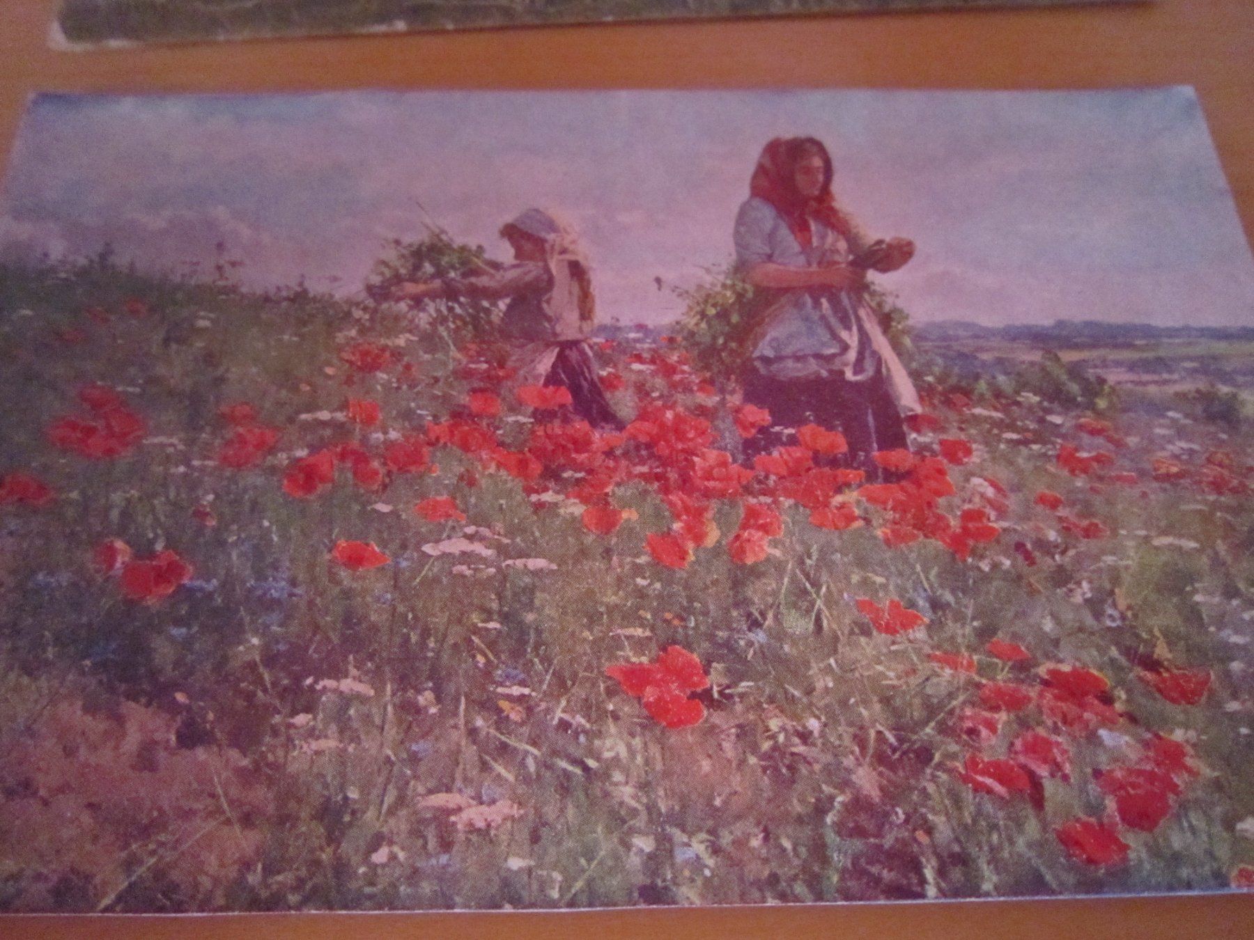Cartoline postali: No 11 antike Postkarten "arbeiten auf dem Felde" – Usato da Gordola venduto da Polentaefung 1