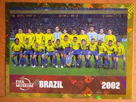 Panini FWC16