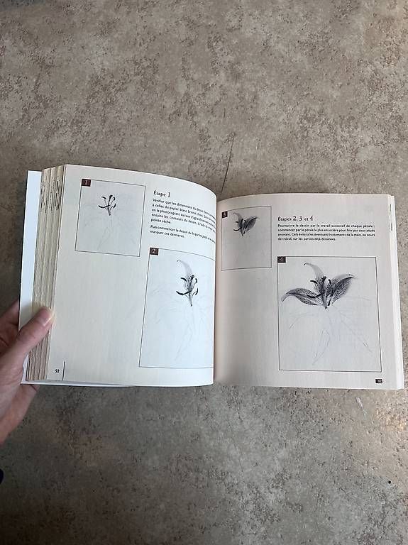 Libri: Buch Zeichnen lernen – Usato da Luzern venduto da mic_snk9 1