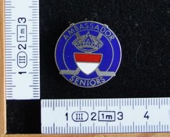 PIN Ambassador Seniors Solothurn Eishockey #1026