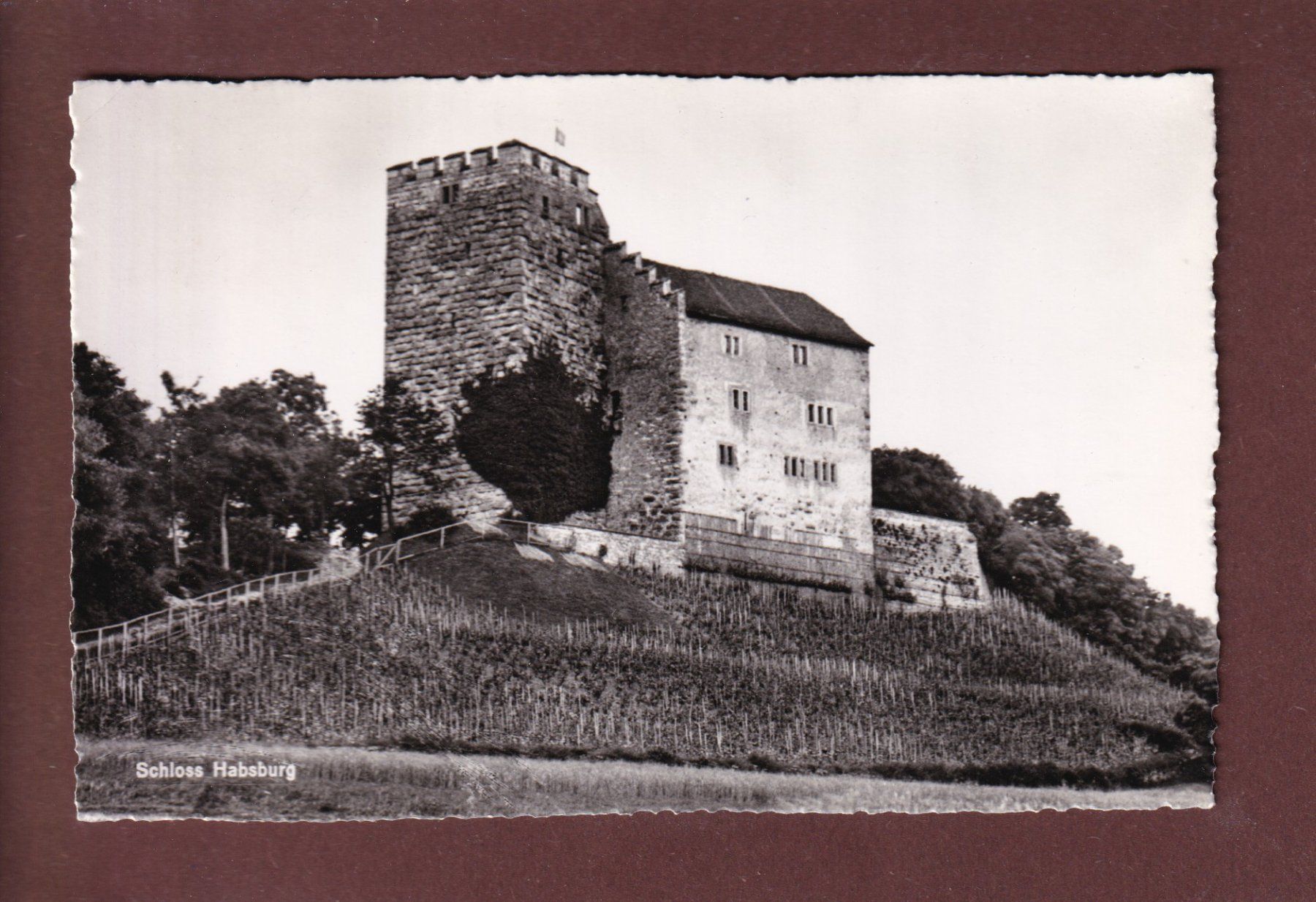 Cartoline postali: SCHLOSS HABSBURG - 1954 – Usato da Pully venduto da nicecards