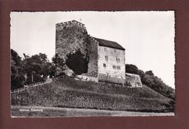 SCHLOSS HABSBURG - 1954