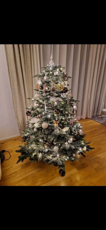 Verwunderlich Triumph Tree Weihnachtsbaum Bilder