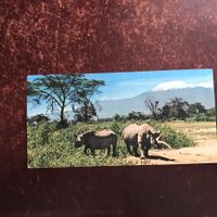 SÜDAFRIKA, UGANDA - TANZANIA - KENYA, Postkarte