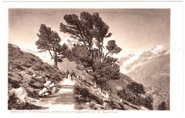 ZERMATT-Riffelalp Cervain (Matterhorn) ca.1915 (VS)