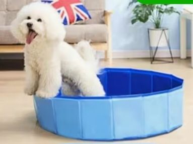 Piscine: Faltbarer Mini- Haustier Pool, 50x10cm – Nuovo e nell'imballaggio originale da Hunzenschwil venduto da nudget 1