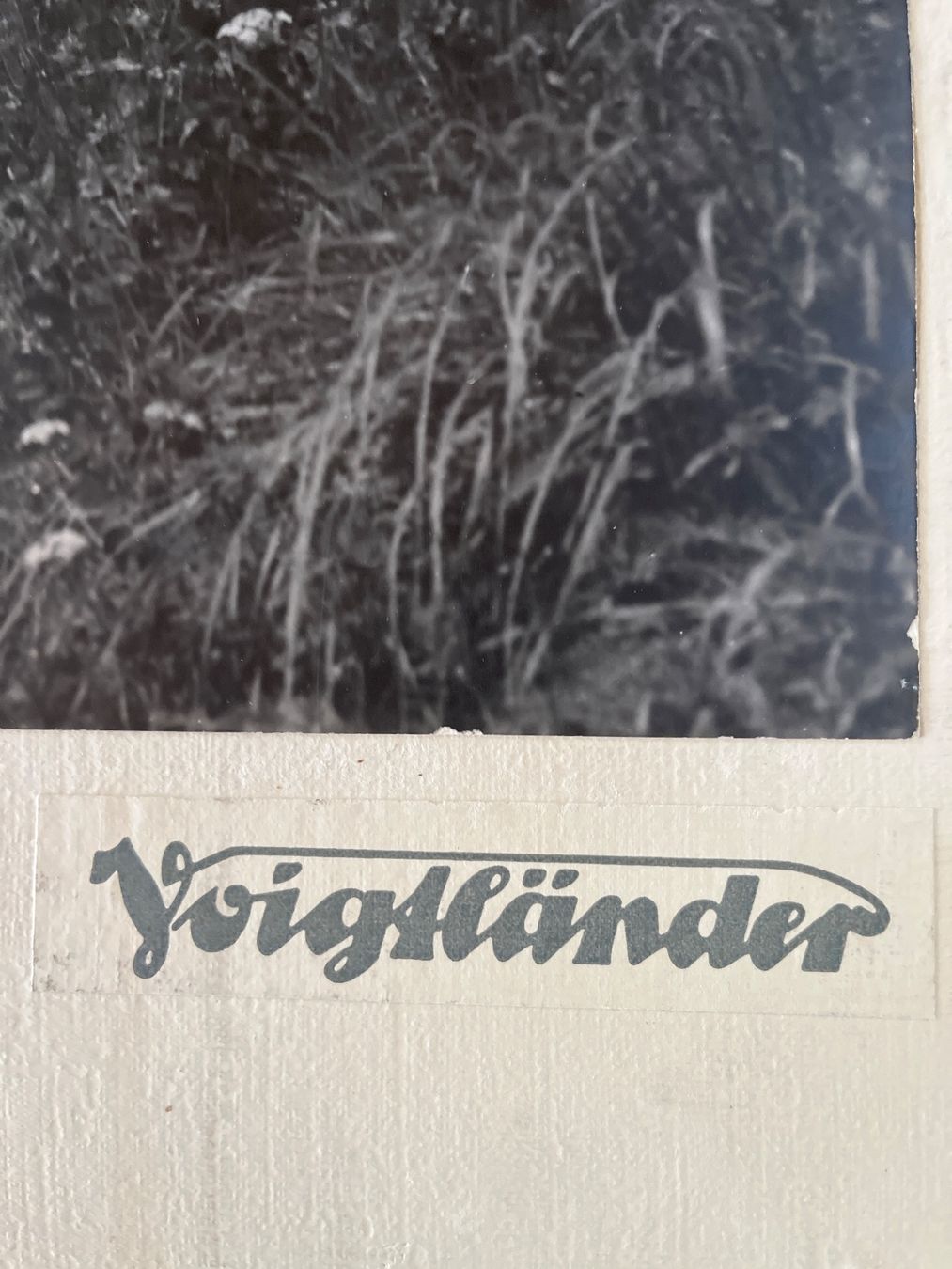 Poster & Bilder: Albert Steiner St Moritz – Gebraucht aus Untervaz von Kunstegga 1