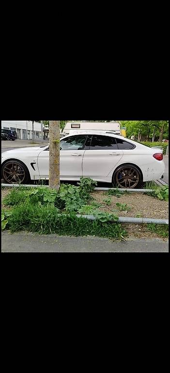 Pneumatici & Ruote complete: Kompl. Radsatz inkl. Eignungserklärung – Usato da Dietikon venduto da rem_xqc9 1