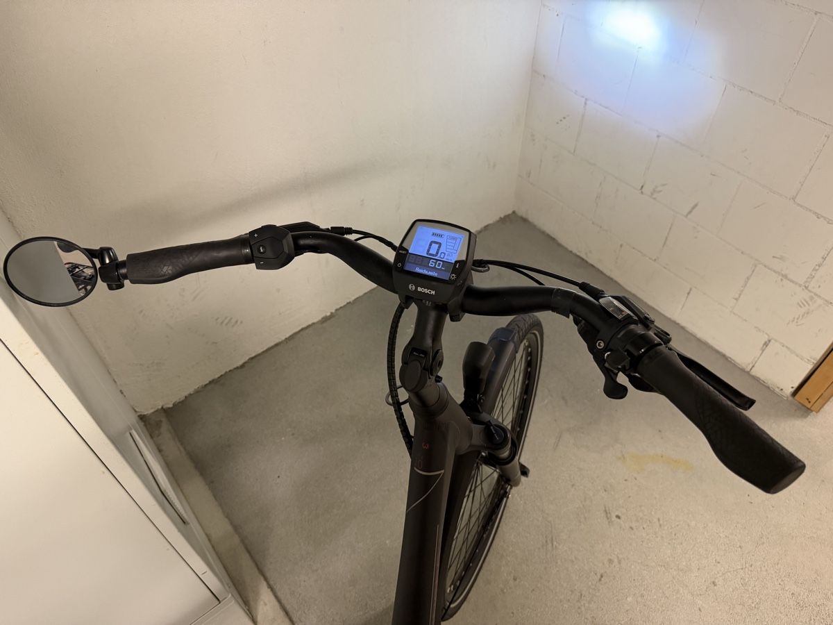 Winora Biciclette: Ebile Winora 25 km/h  – Usato da Alpnach Dorf venduto da FO91 3