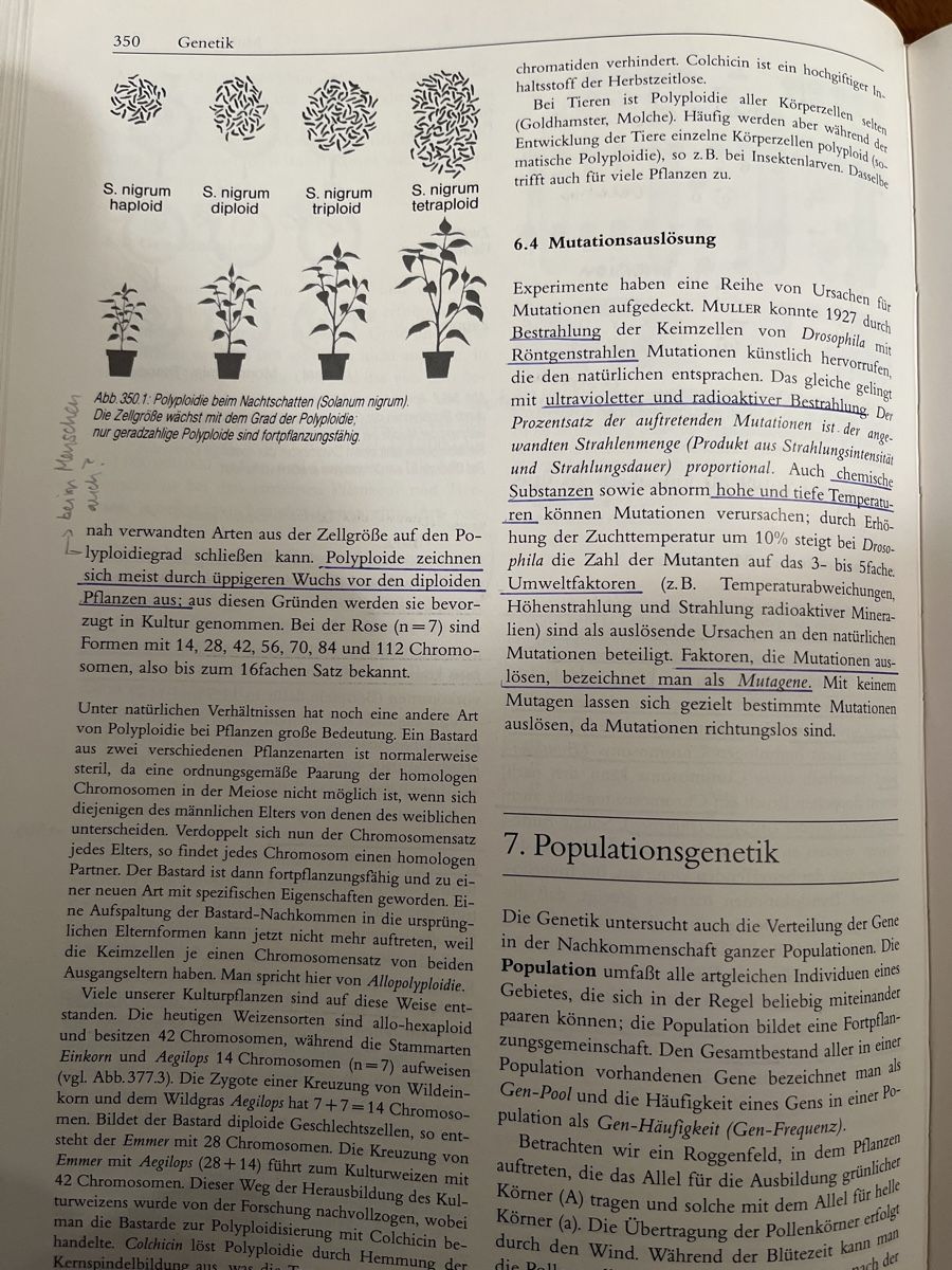 Bücher: Linder Biologie - Metzler – Gebraucht aus Andelfingen von estark 3