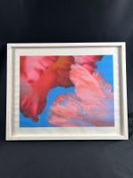 Originalfotografie Thomas Woodtli "ohne Titel"