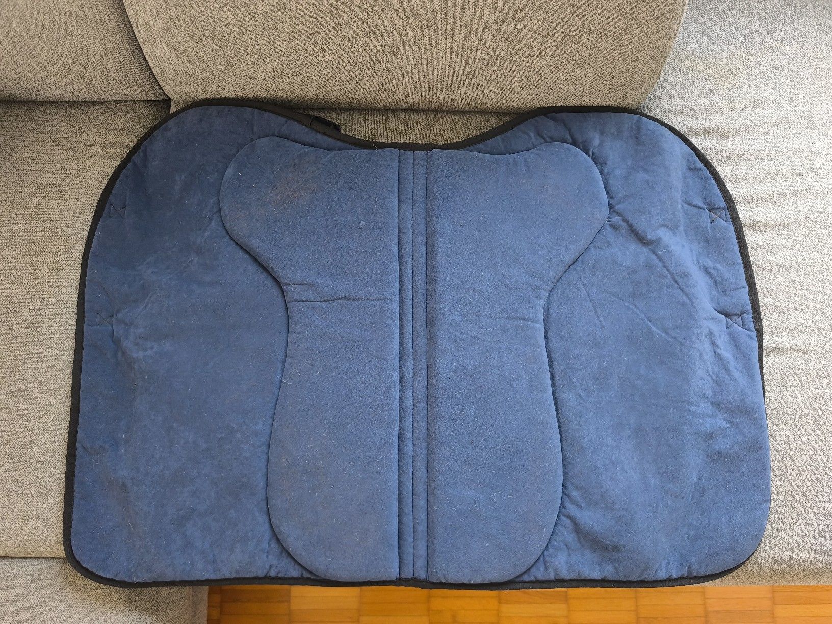 Coperte & Accessori: Equitex Pad Schabracke – Usato da Subingen venduto da MZubi 2