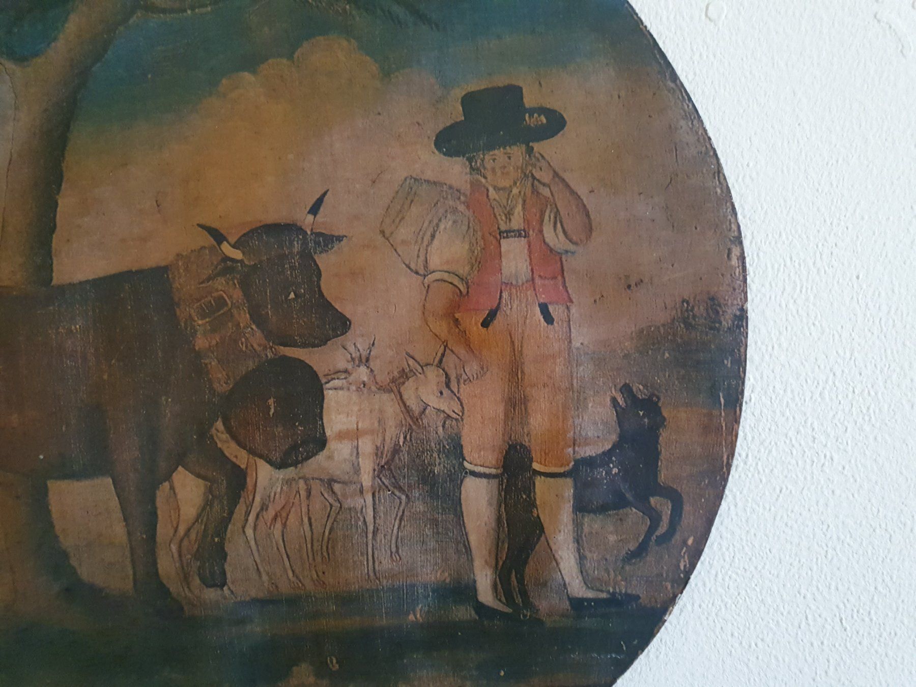 Foto & Immagini: Appenzeller Bild – Usato da Flawil venduto da Naphtali 2