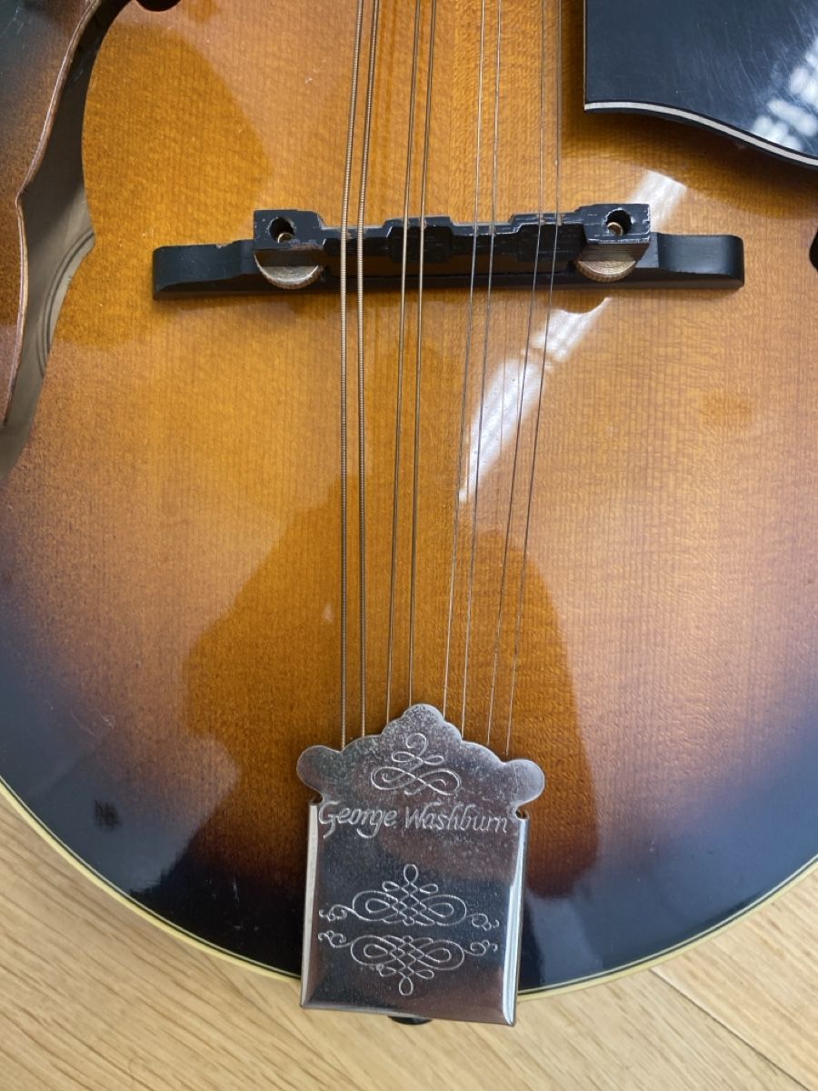 Washburn Strumenti musicali: Washburn Mandoline mit Koffer, – Usato da Biel/Bienne venduto da Projektorium 2