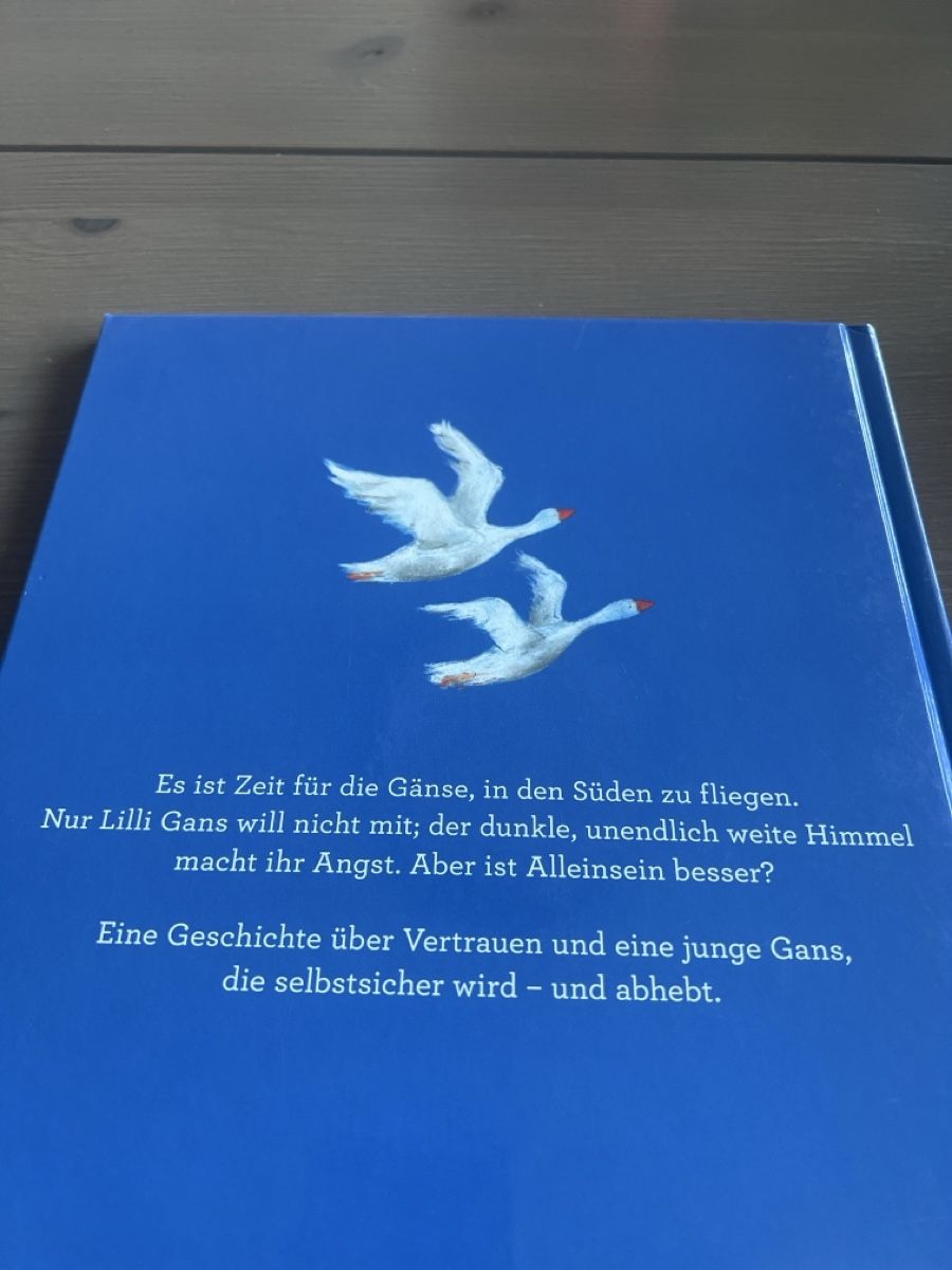 Libri: Lilli Gans fliegt los – Usato da Seon venduto da Sunny-Schmuck78 1