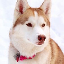 Profile image of anj_y6mw