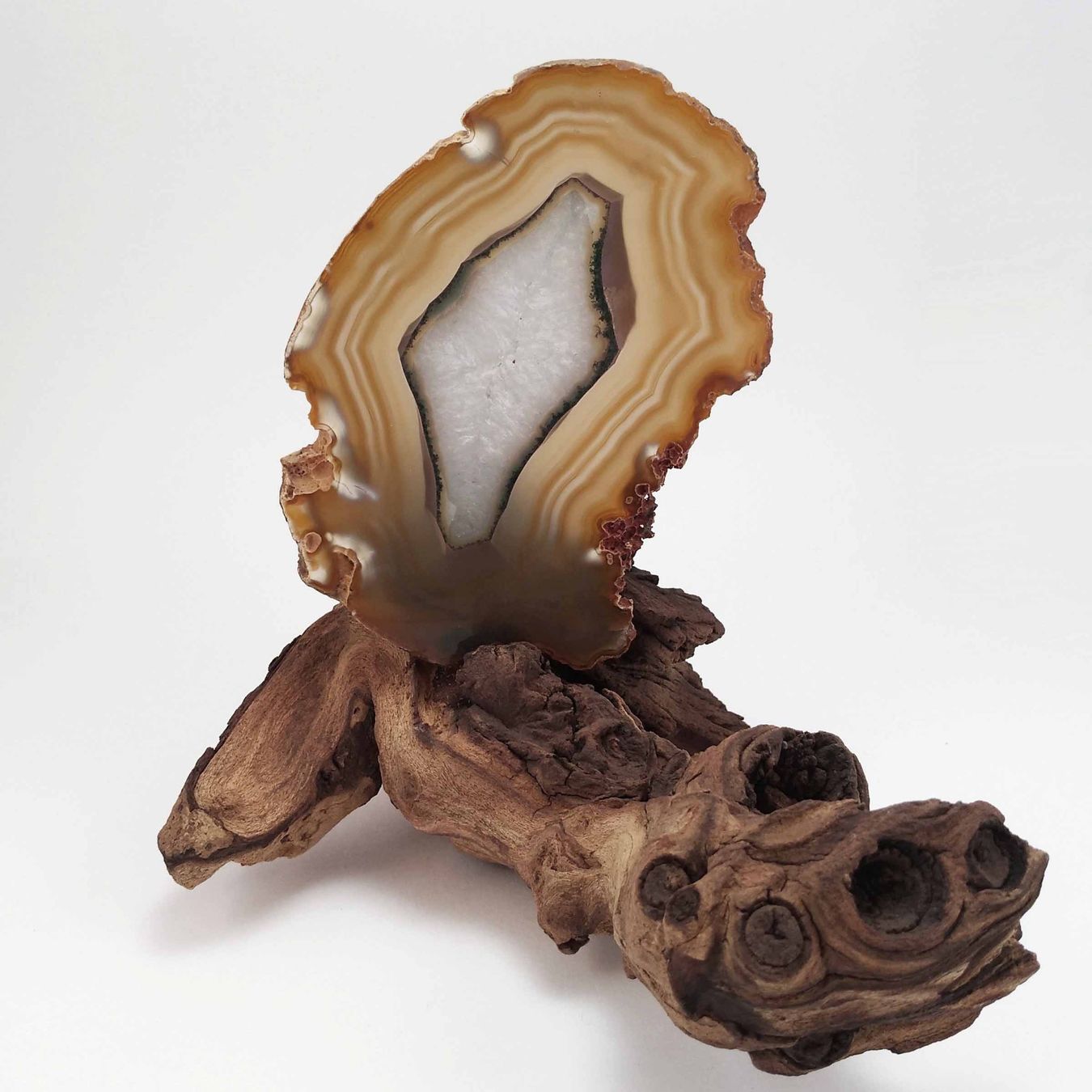Minerali & Pietre curative: Achatscheibe auf Holz 15cm – Nuovo e nell'imballaggio originale da Meilen venduto da StoneGarden