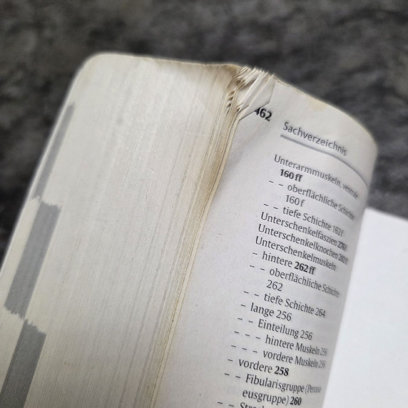 Libri: Taschenatlas der Anatomie – Usato da Meggen venduto da Ram_779z 2