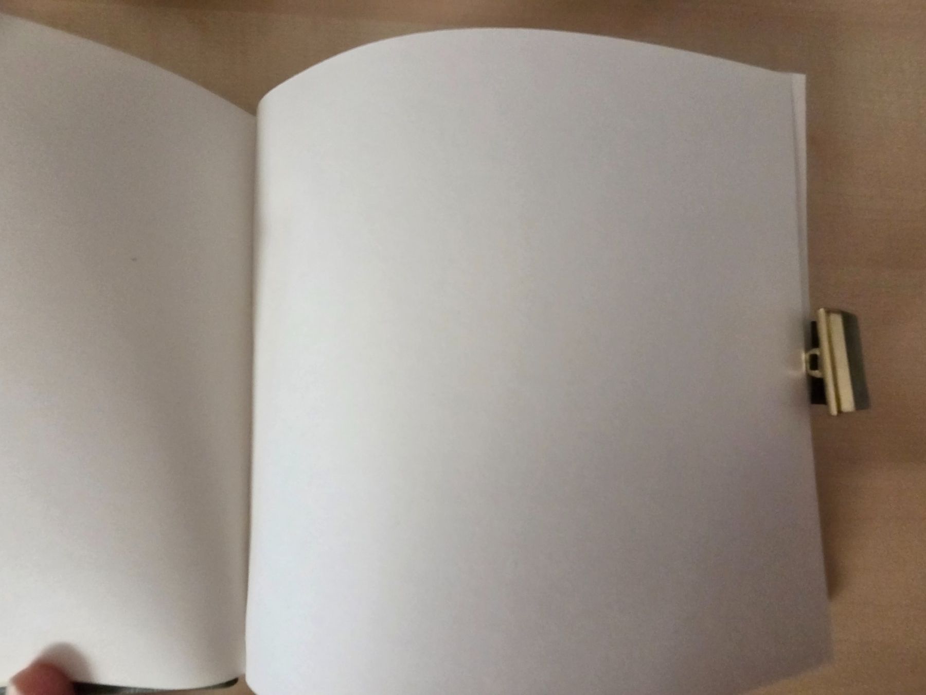 Bücher: Tagebuch – Neu (gemäss Beschreibung) aus Herznach von koro02 3