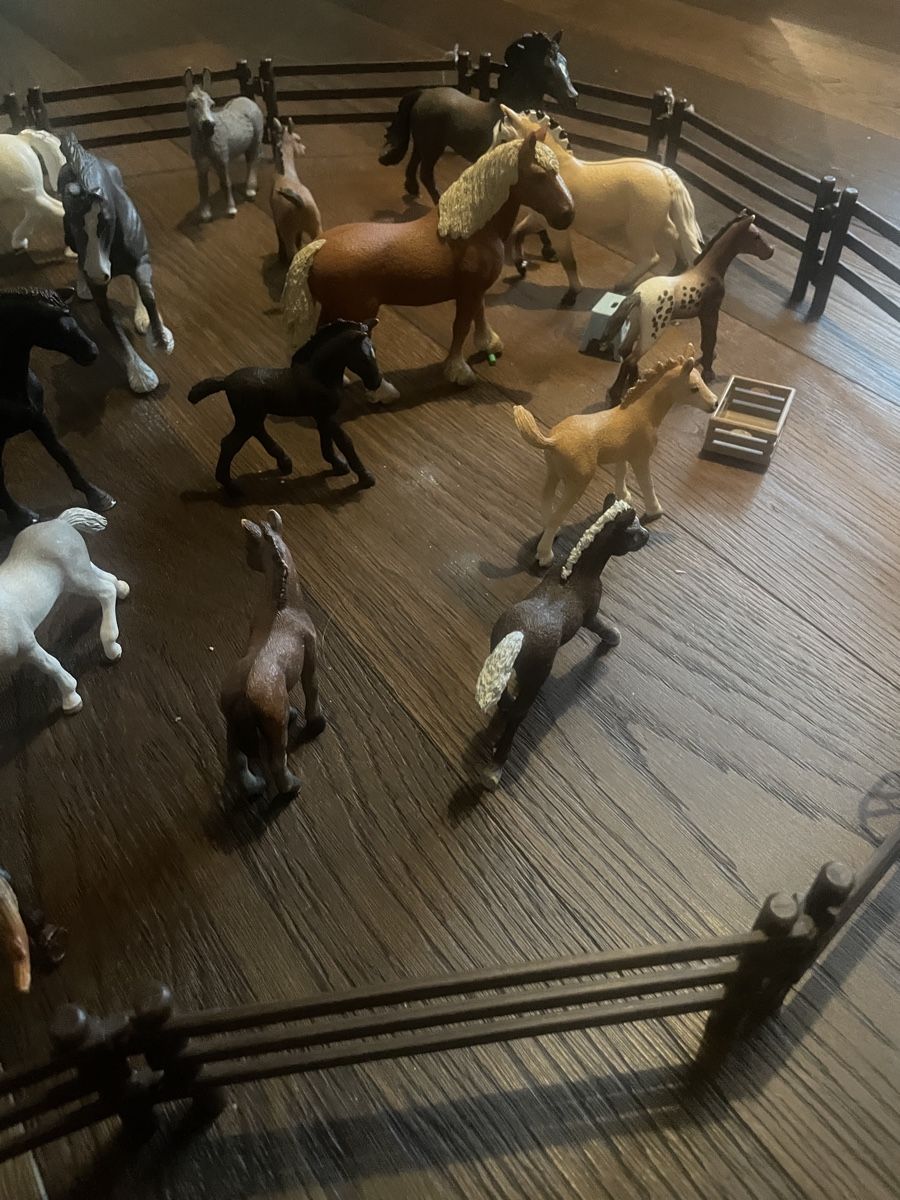 Schleich Spielzeuge: Grosse Schleich Pferdesammlung – Gebraucht aus Meiringen von Maersk 1