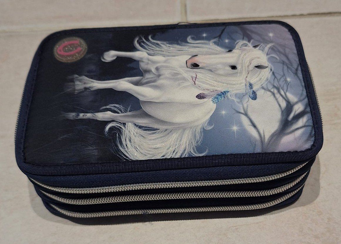 Astucci : Etui Pferd Miss Melodie – Usato da Widen venduto da Cariff 1