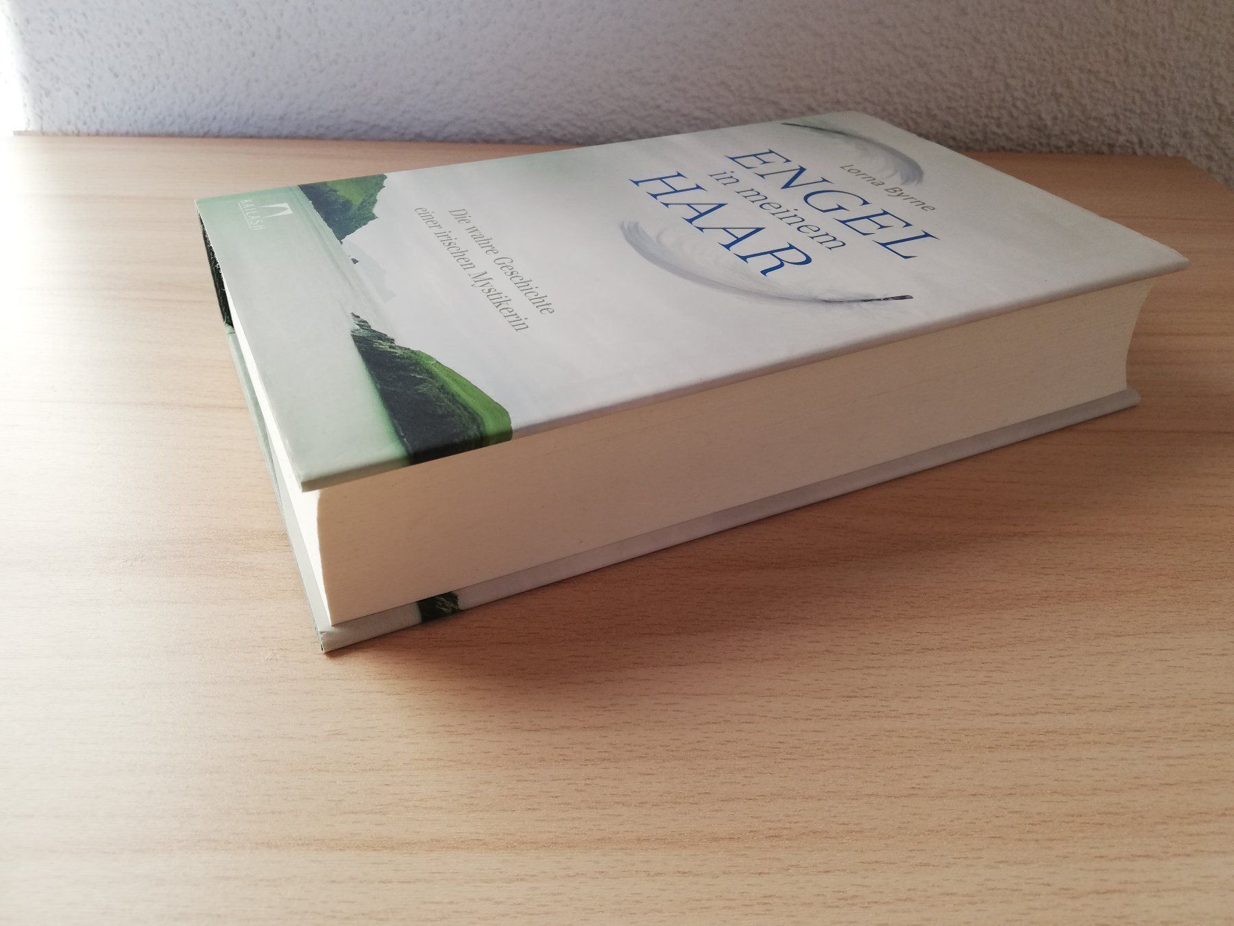 Libri: Engel in meinem Haar – Usato da Worb venduto da geo_zbd8 3