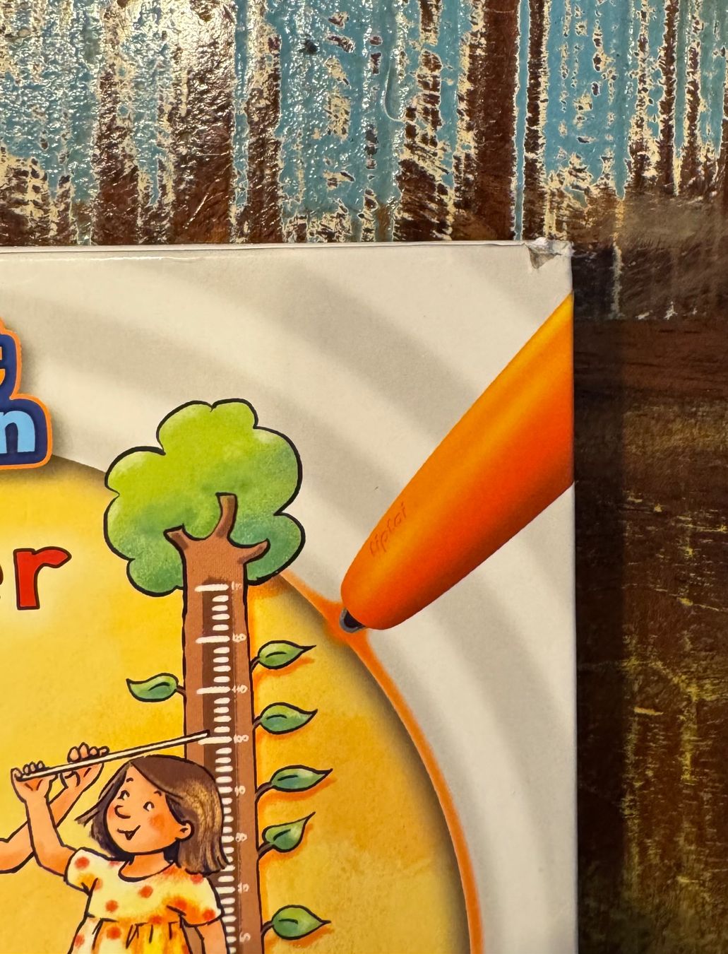 Bücher: TipToi Pocket Körper Buch – Gebraucht aus Flumenthal von Krajan 1