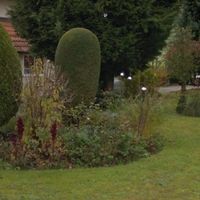 Gutschein für Gartenhilfe / Gartenarbeiten