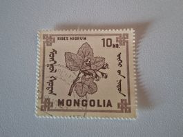 Mongolei Briefmarke, Ribes Nigrum
