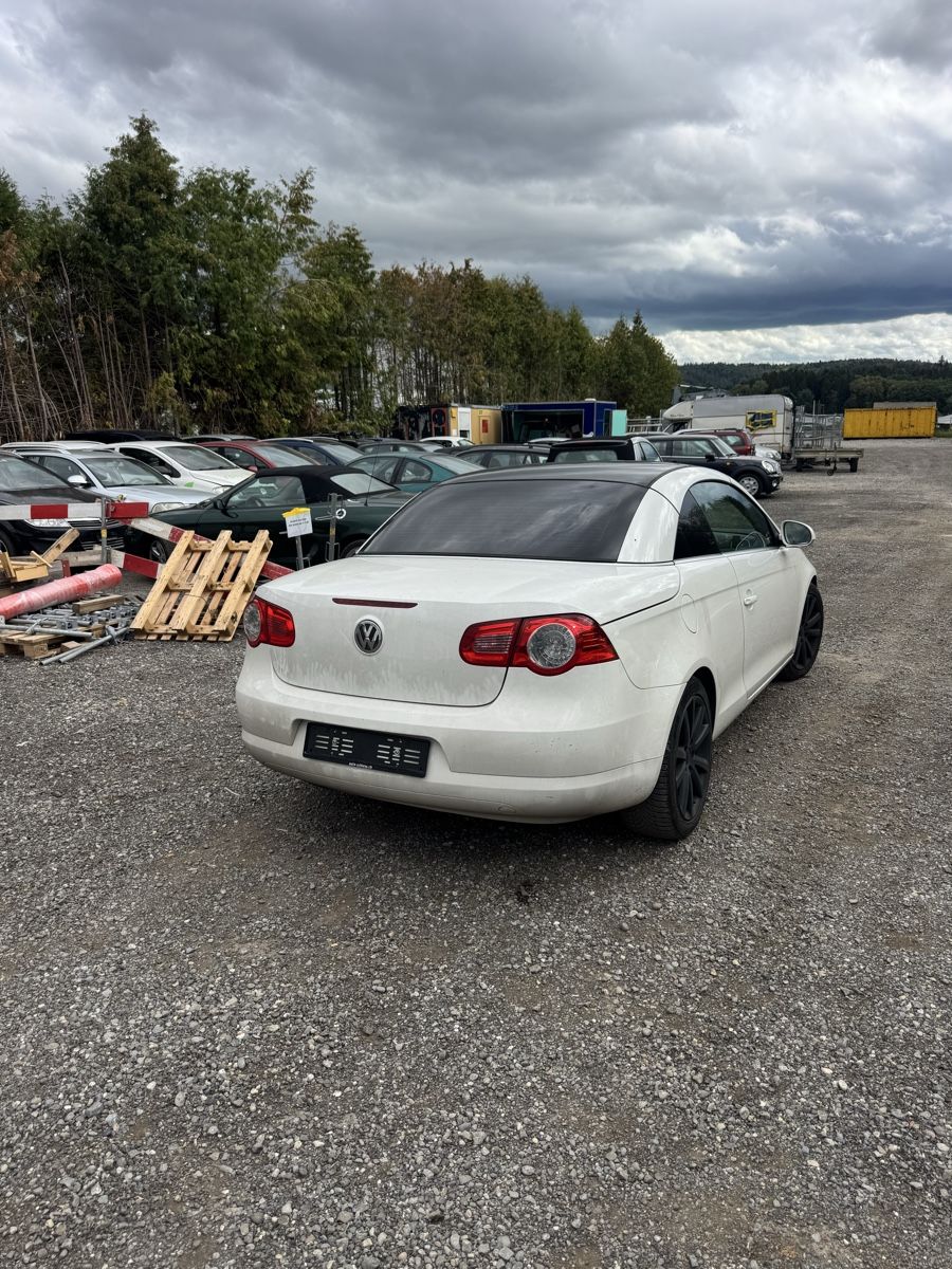 VW Automobili: VW EOS 2.0 FSI AB MFK – Usato da Winterthur venduto da Mudi.ti 7