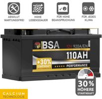 BSA Performance Autobatterie 110AH 12V wenig gebraucht top