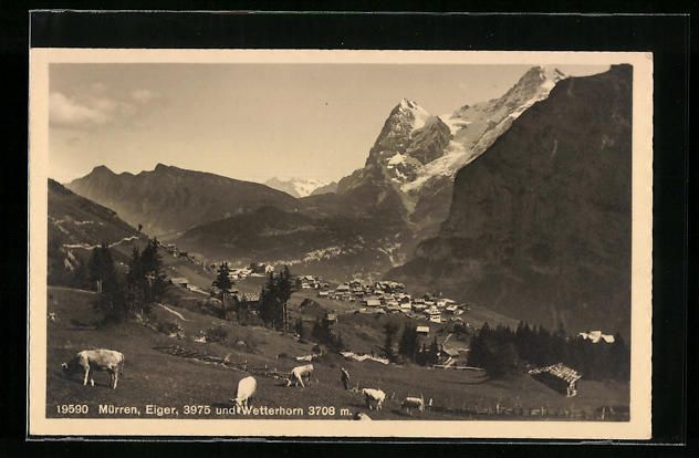 Cartoline postali: Mürren, Gesamtansicht mit Eiger und Wet – Usato da Berlin venduto da bartko-reher