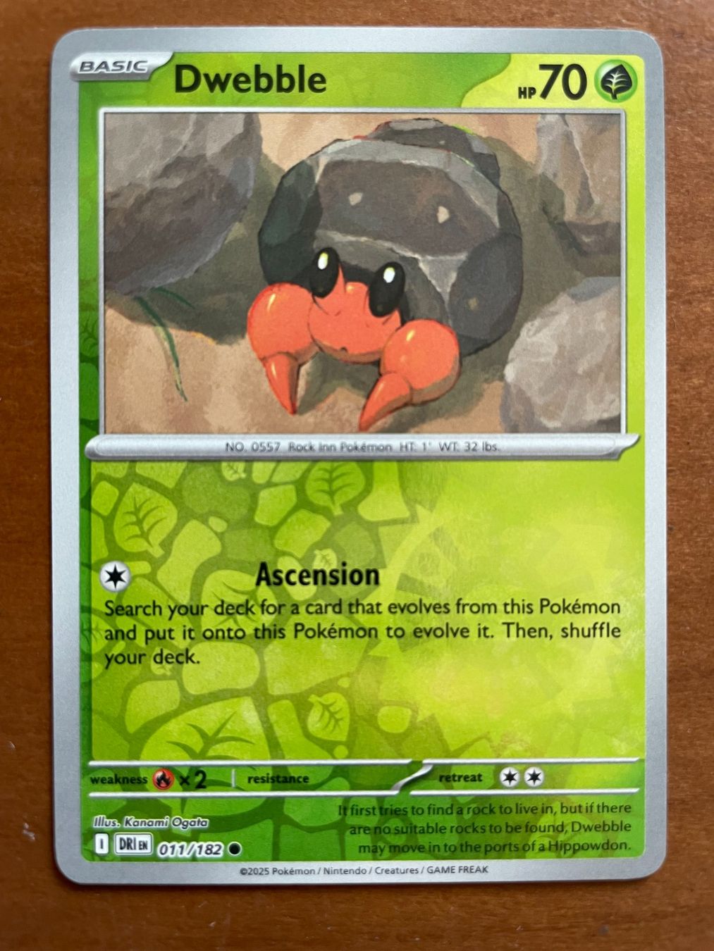 Pokémon Sammelbilder & Trading cards: Pokemon Dwebble Reverse (Versand gratis) – Neu (gemäss Beschreibung) aus Chur von Angerson