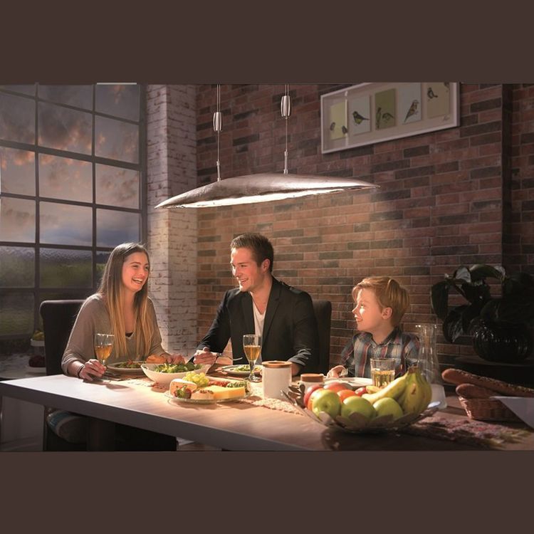 Lampadari & plafoniere: LED Pendelleuchte, Aluminium, Gewölbt – Nuovo (secondo la descrizione) da Kreuzlingen venduto da Smart-Light 1