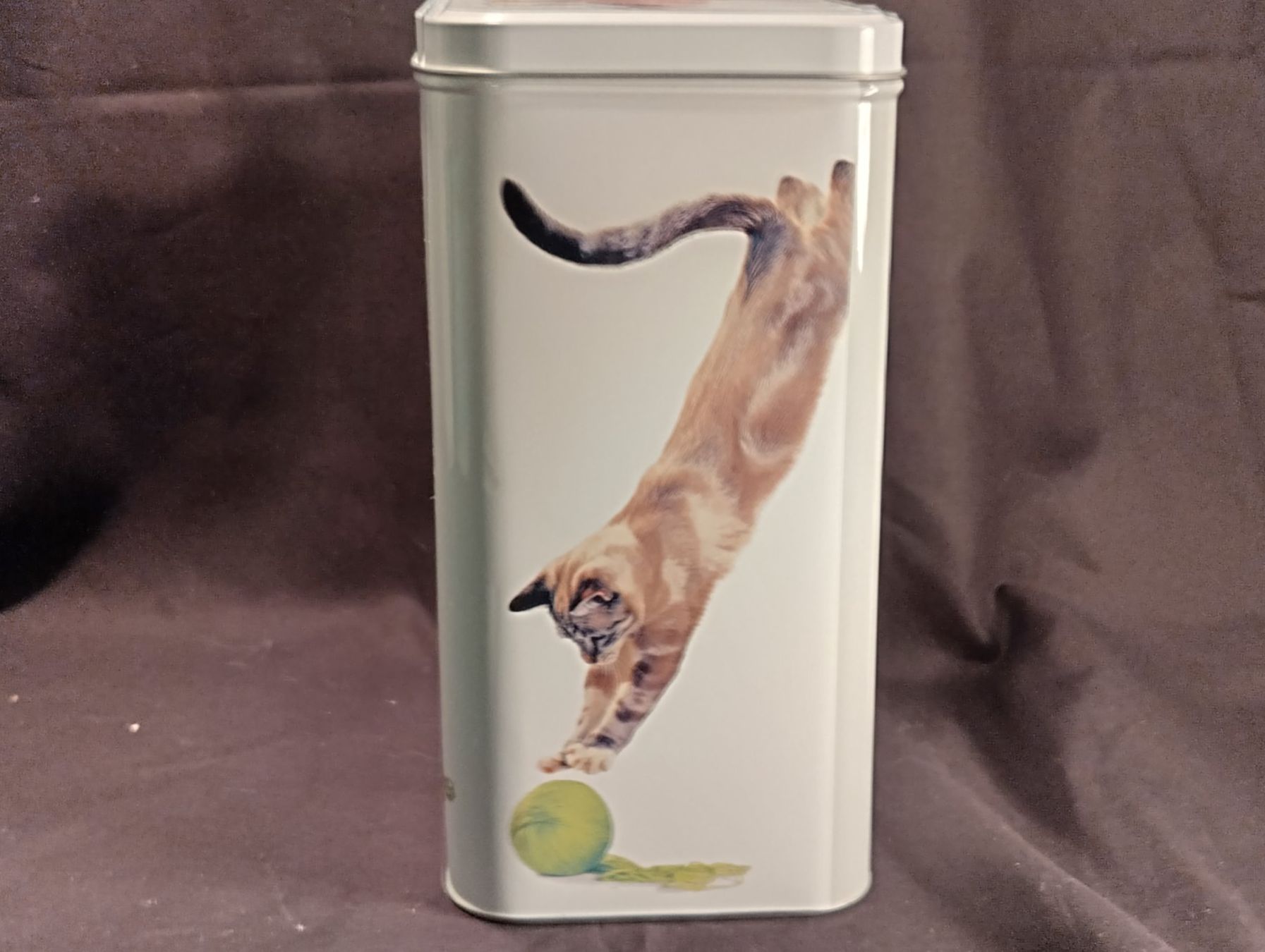 Sonstige Dekorationen & Accessoires: Blechbüchse PERFECT FIT mit Katzen – Gebraucht aus Bellach von JingleCherry 2