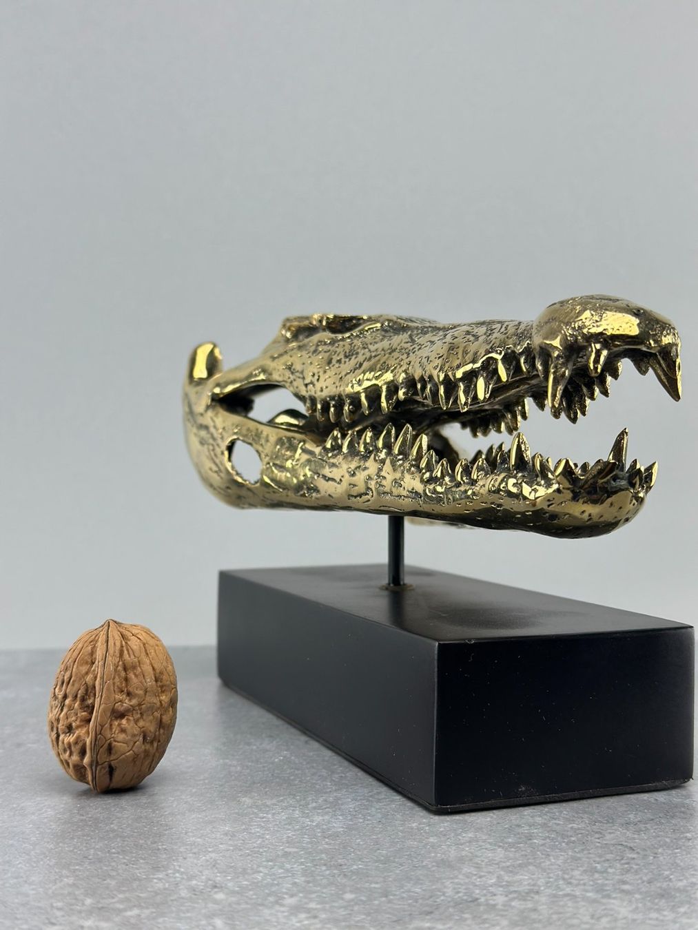 Skulpturen & Statuen: Crâne de Crocodile en Bronze 23 cm – Neu (gemäss Beschreibung) aus Lausanne von Toko_Lausanne 1