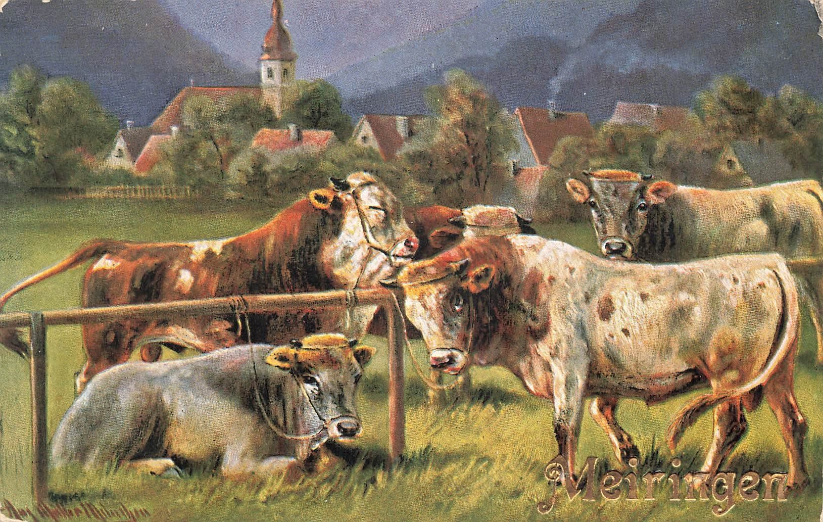 Ansichtskarten: Meiringen mit Kühen – Gebraucht aus Schwyz von Seffi56