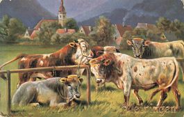 Meiringen mit Kühen