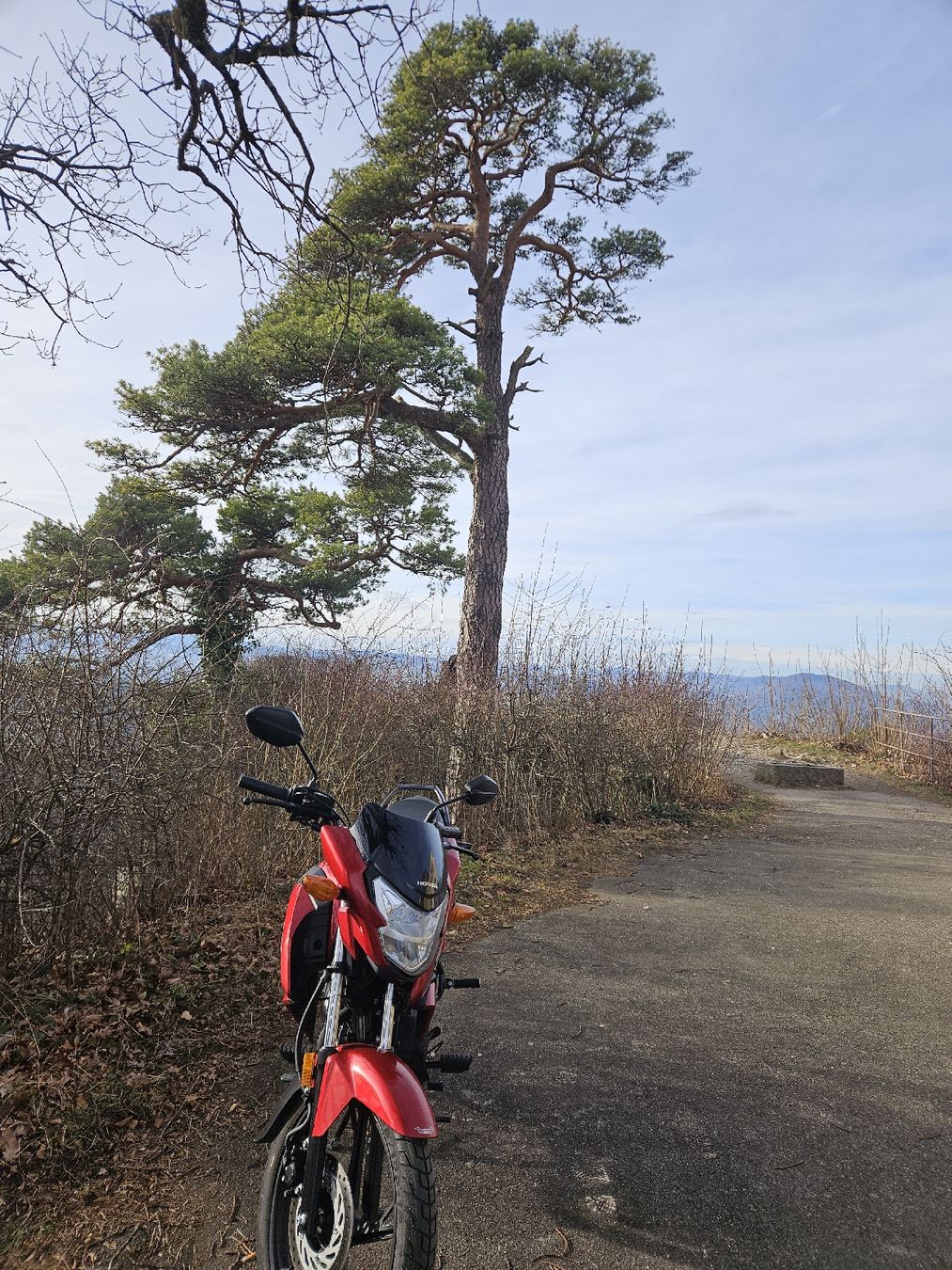 Strada: Honda cb125f 1900.Fr – Usato da Basel venduto da atila.01 1