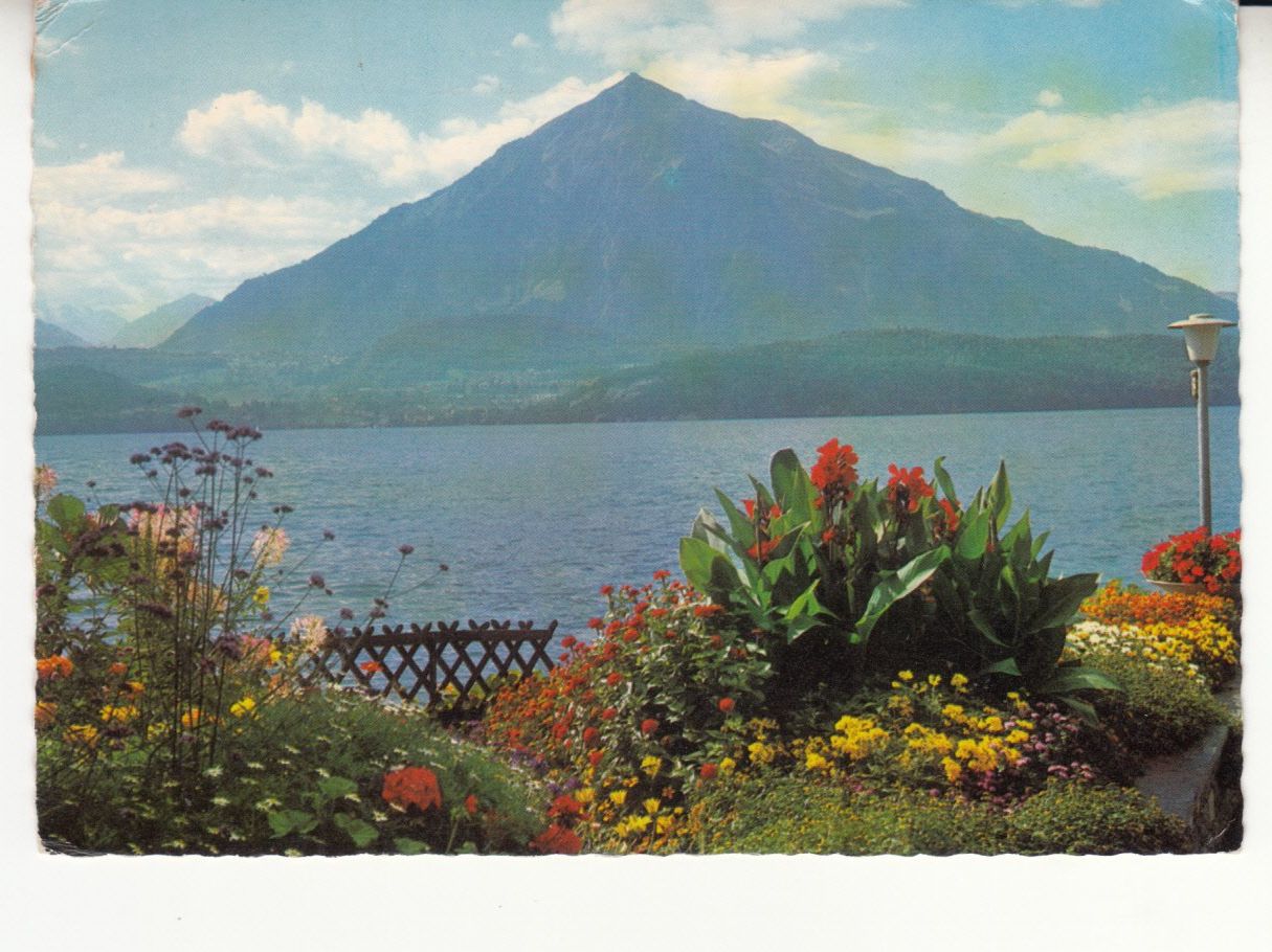 Ansichtskarten: Thunersee 1965 – Gebraucht aus Bürglen TG von StampGraf