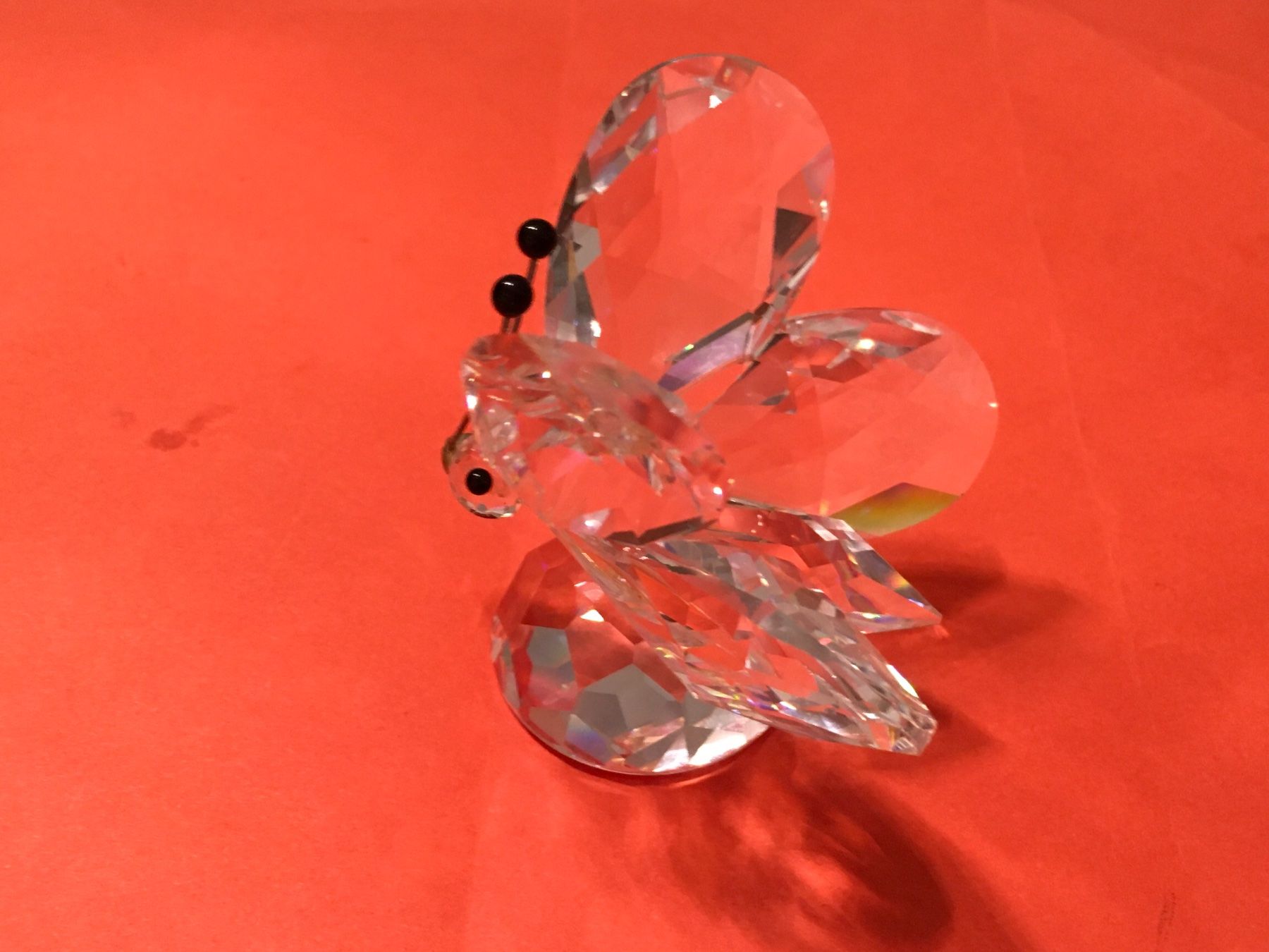 Swarovski Statuette: Swarovski Grosse Schmetterling – Nuovo (secondo la descrizione) da Oberglatt ZH venduto da Multimix 3
